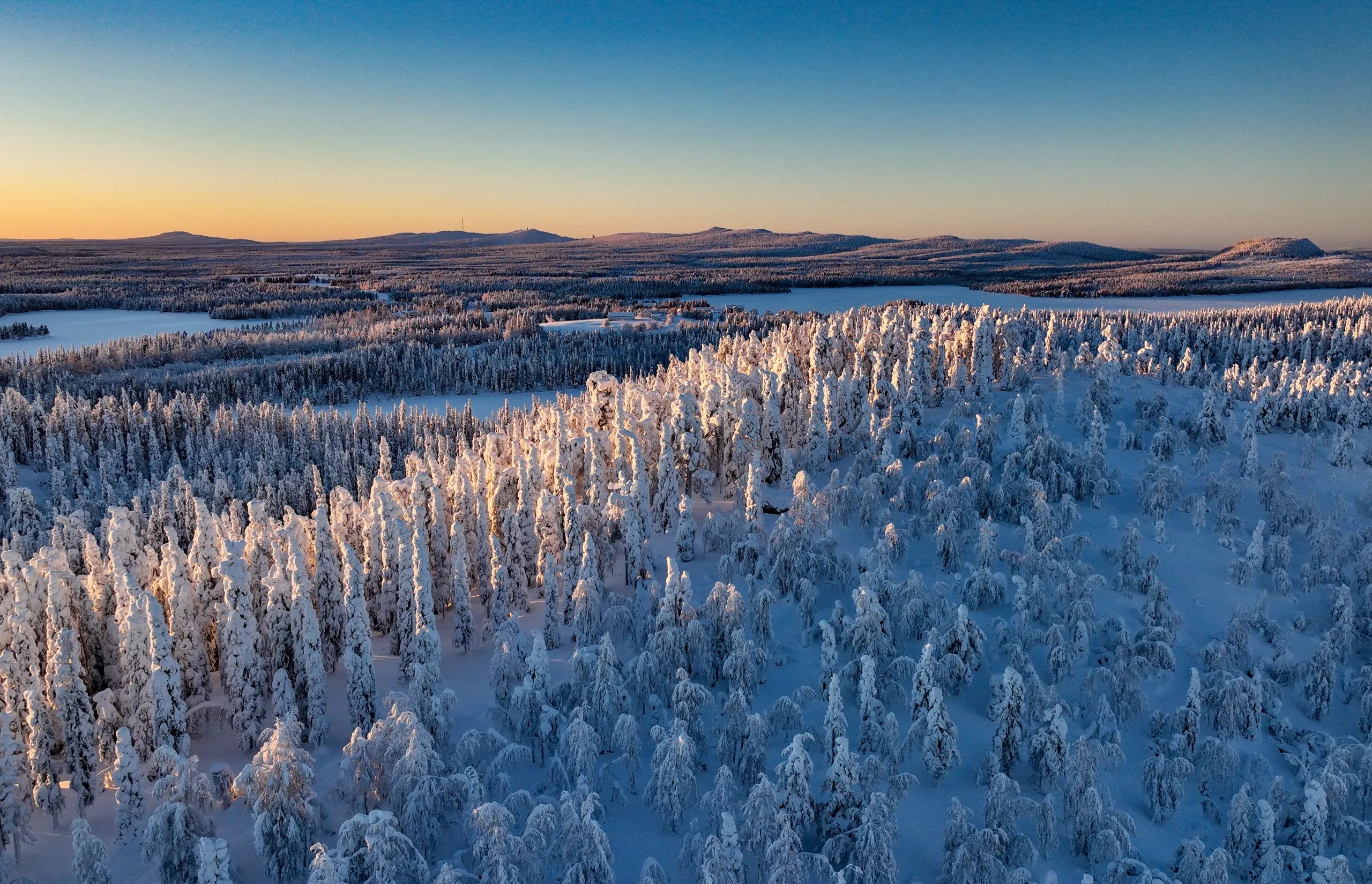 The wonders of winter forest bathing in Finland The wonders of winter forest bathing in Finland