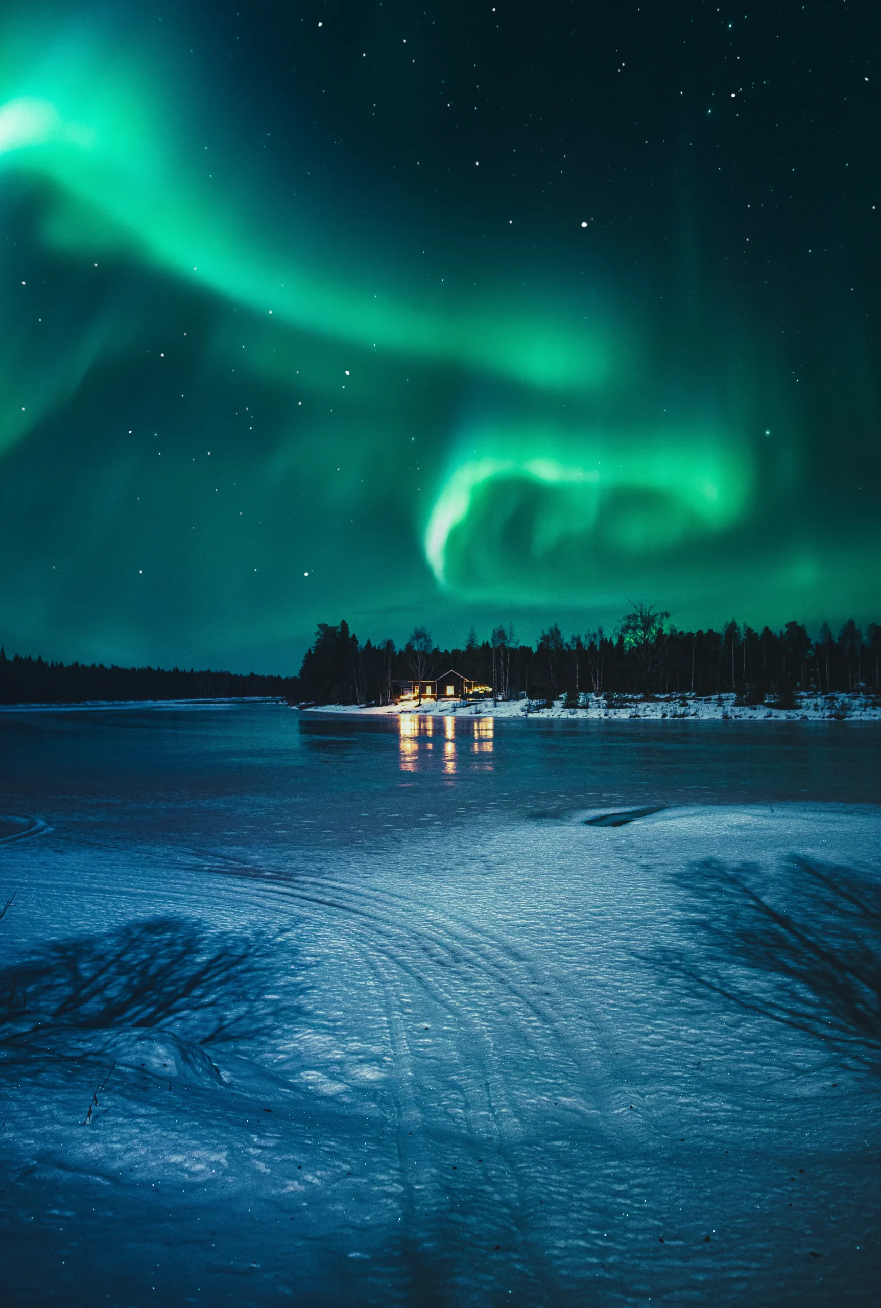 Finland Winter Forest Bathing
