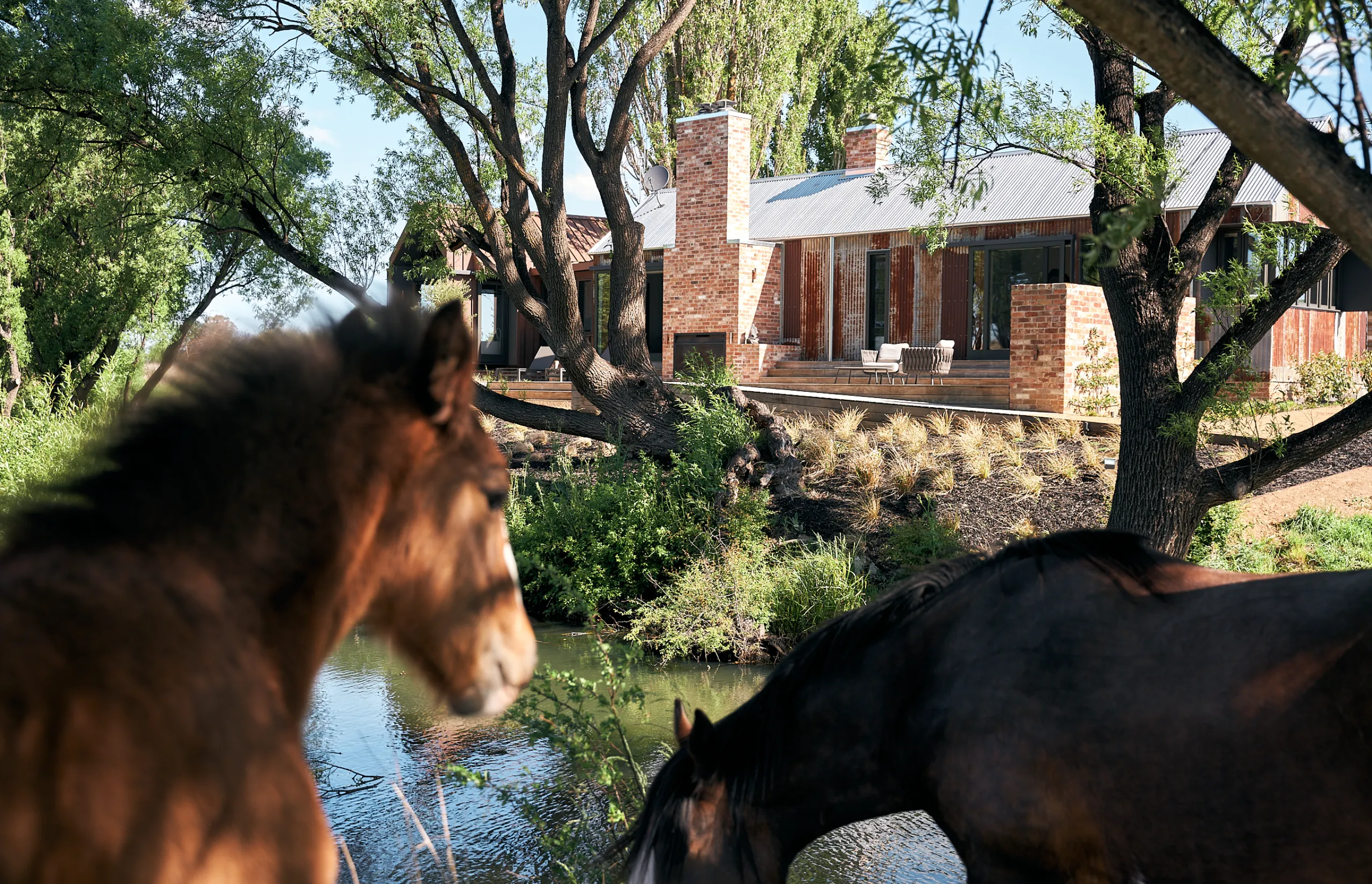 Mona Farm - The Shearers Quarters