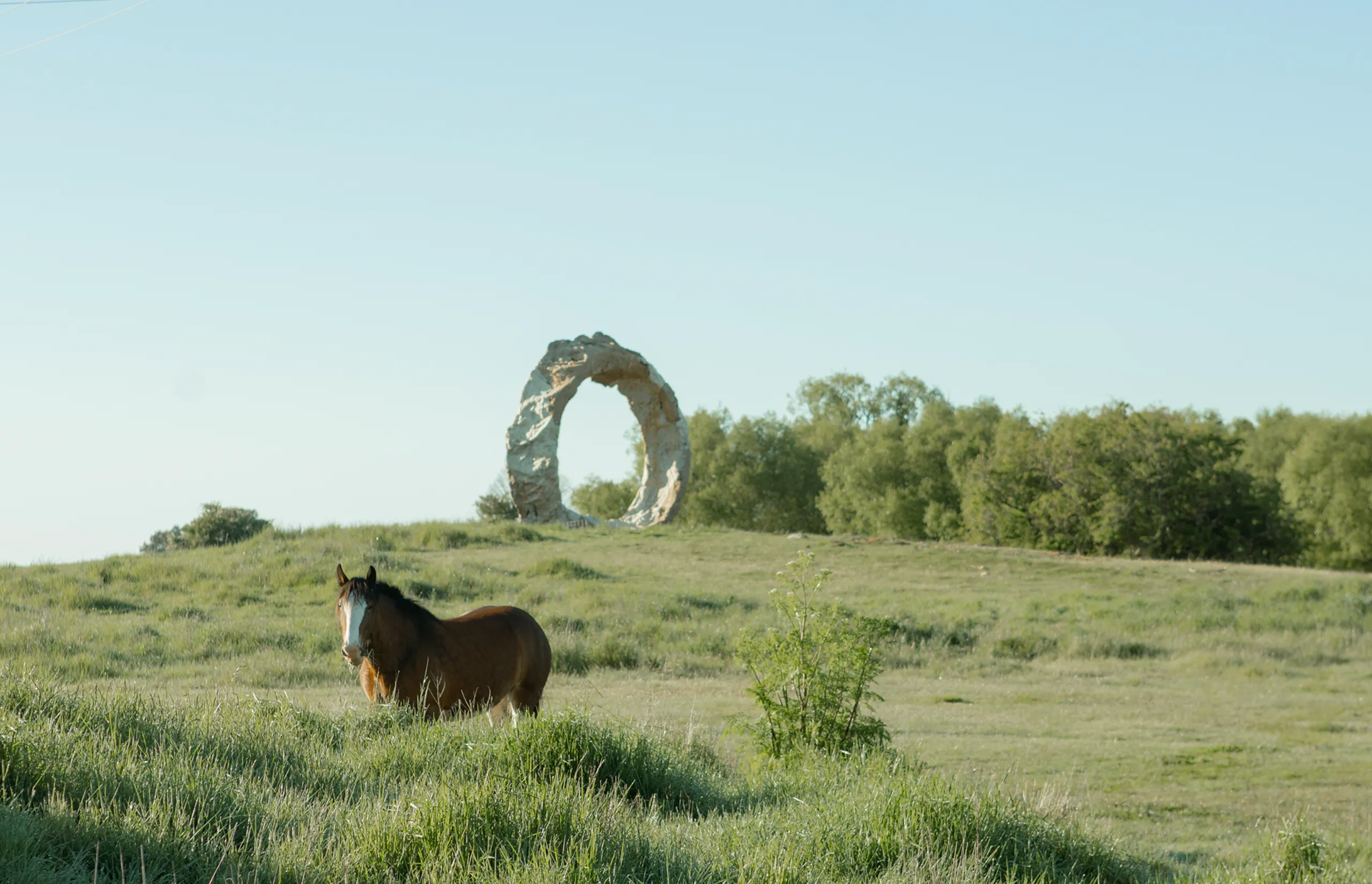 Mona Farm - Resident horse Luna and outdoor sculpture - The Mona O by Peter Lundberg