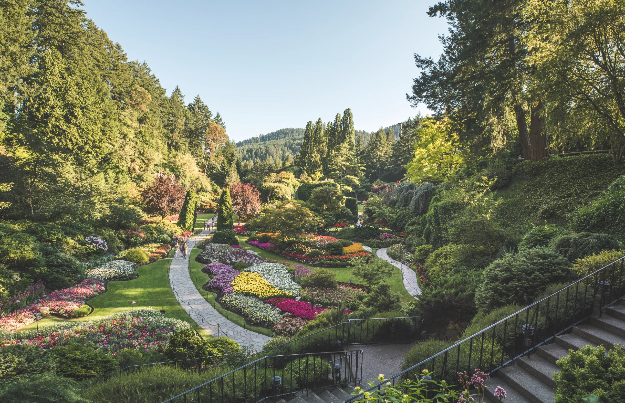 Victoria BC | Butchart Gardens Summer