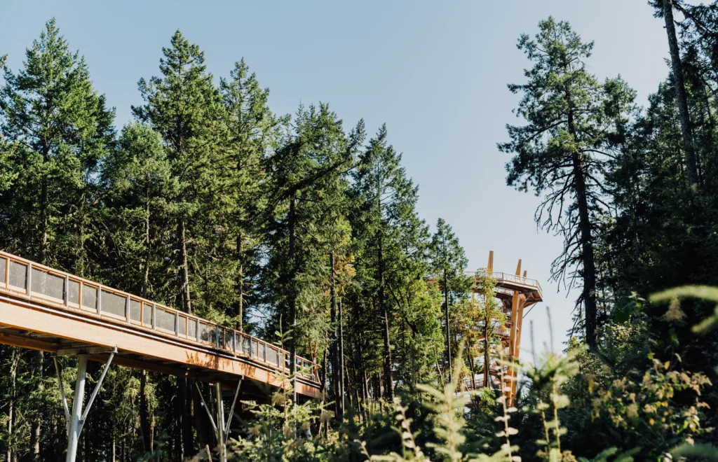 Victoria BC | Tree Walk Tower at Malahat Skywalk