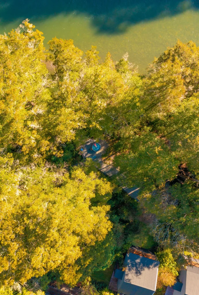 Maruia River Retreat | Wellness Aerial Forest Bathing