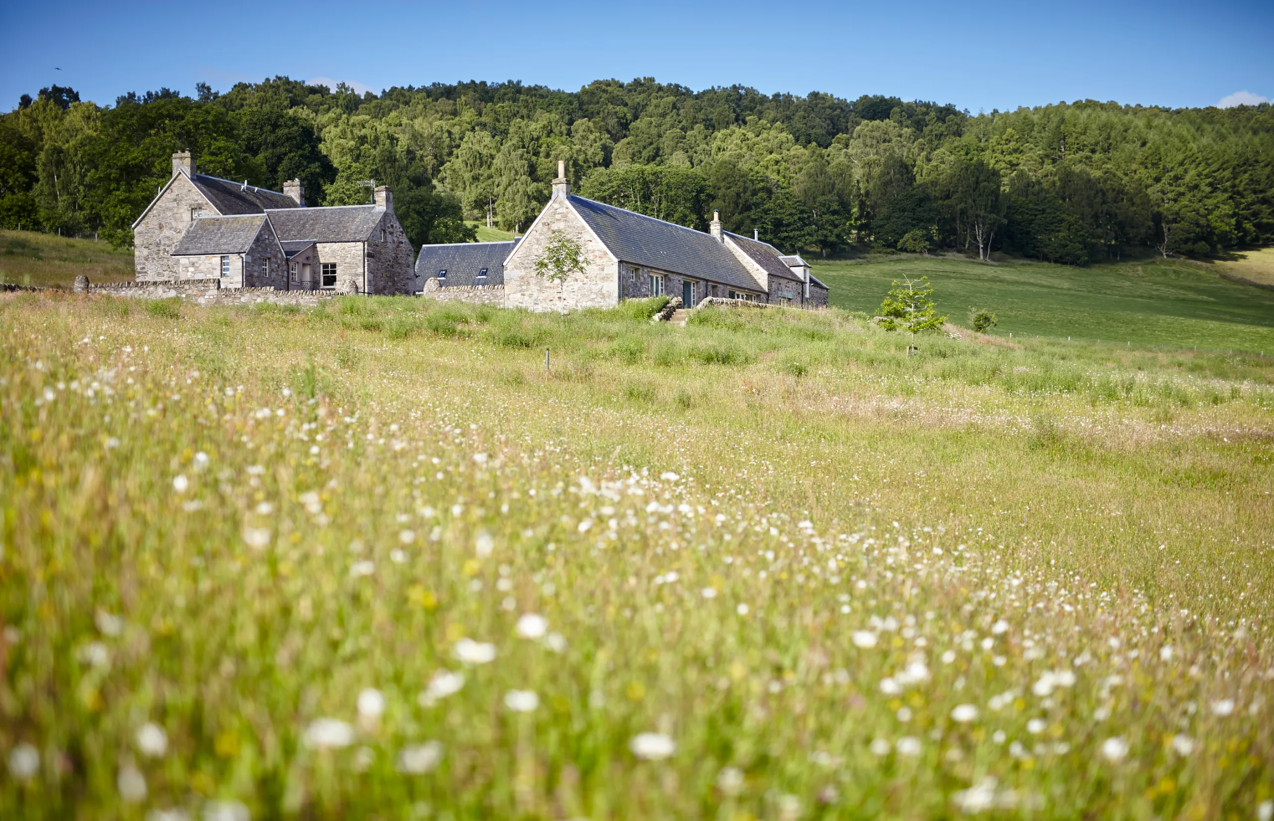 Ballintaggart Farm | Scotland