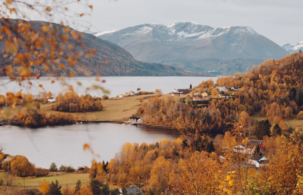 Norway | Credit: Selena Taylor