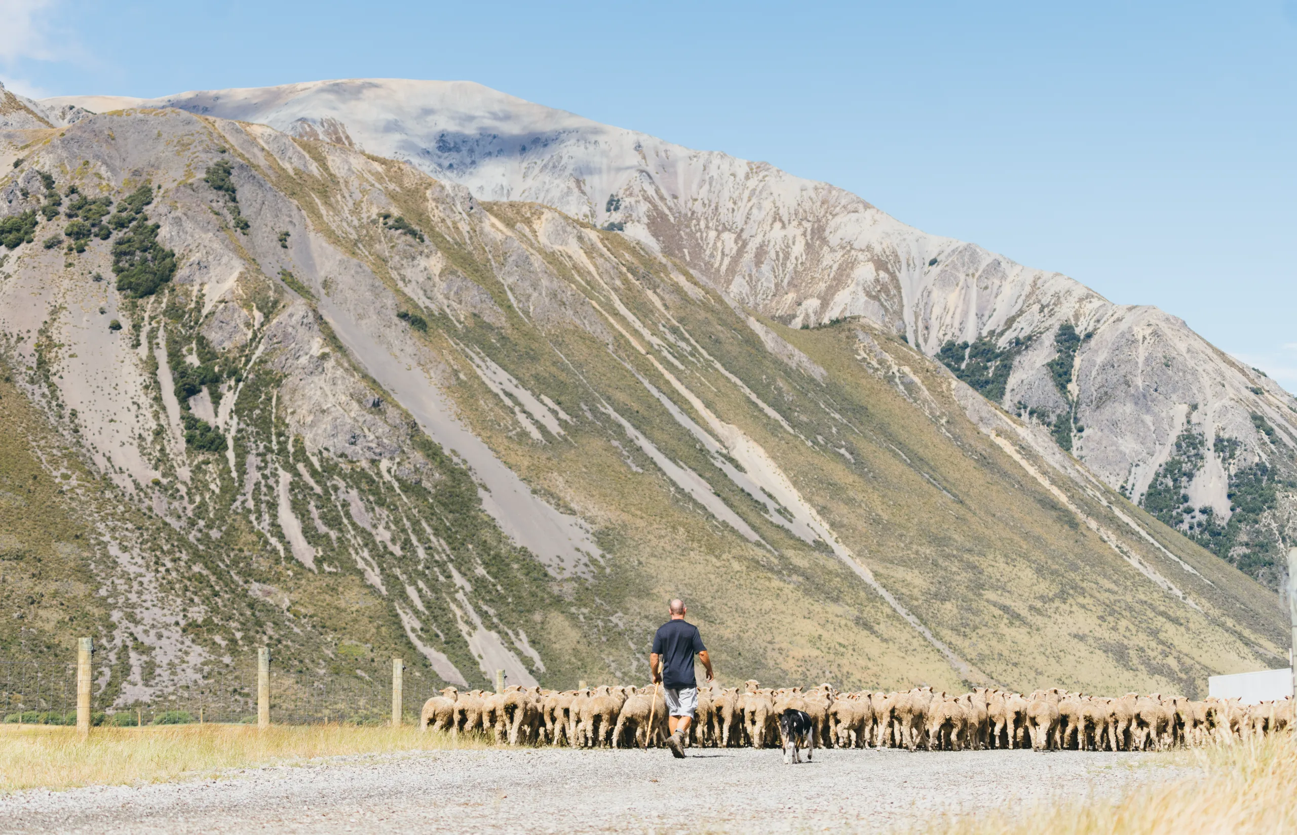 Flockhill Lodge | Farm Tour | Credit: Stefan Haworth