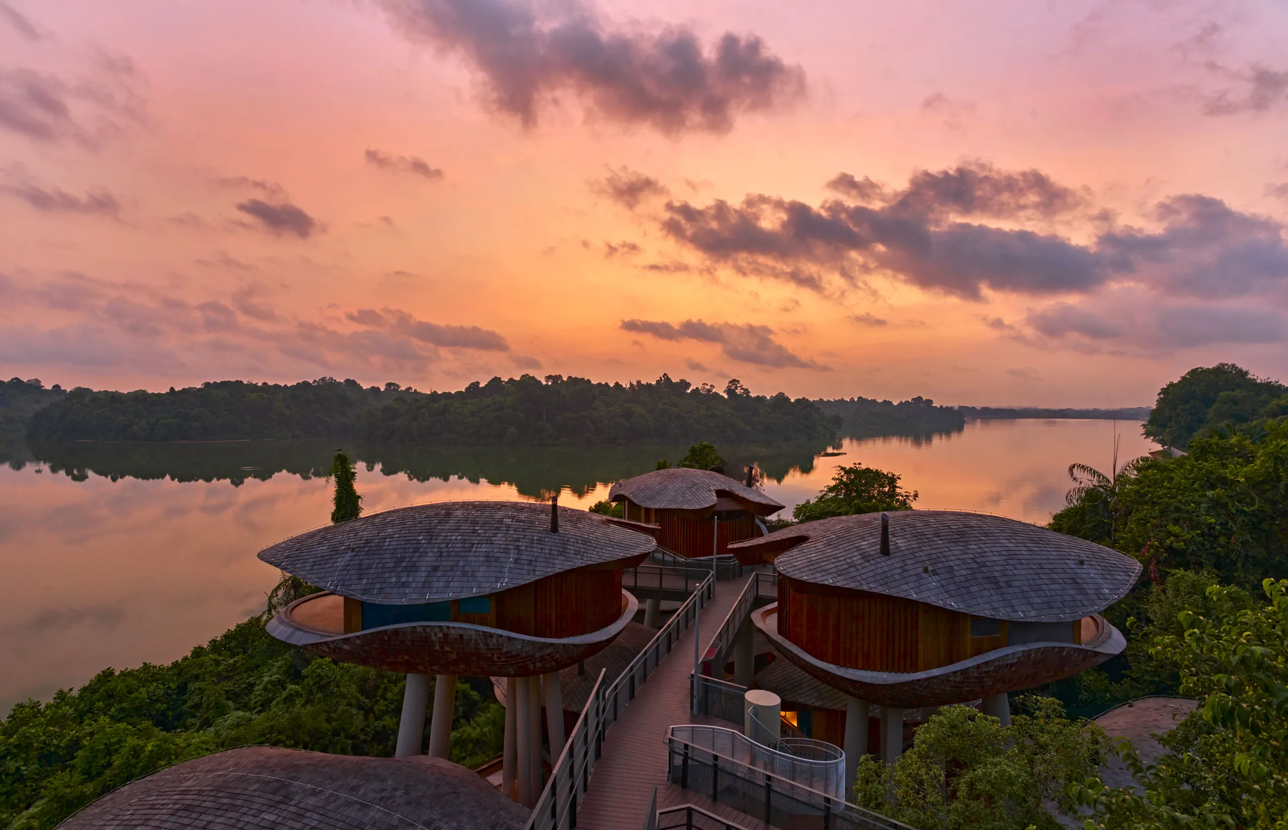 Inside Mandai Rainforest Resort: Singapore’s new luxury eco-escape Inside Mandai Rainforest Resort: Singapore’s new luxury eco-escape