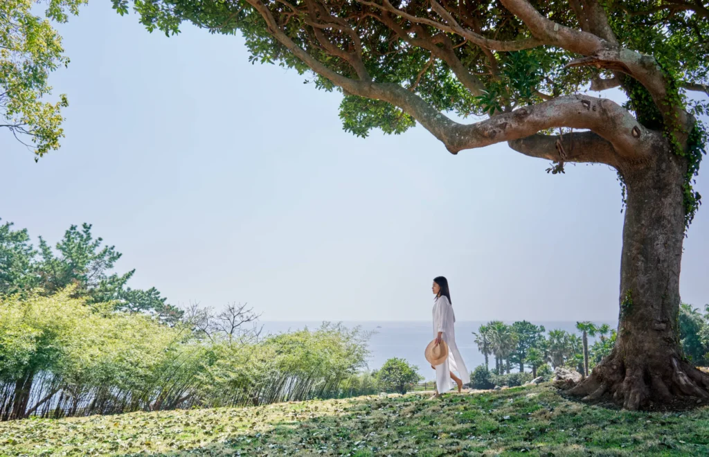 Back to Nature