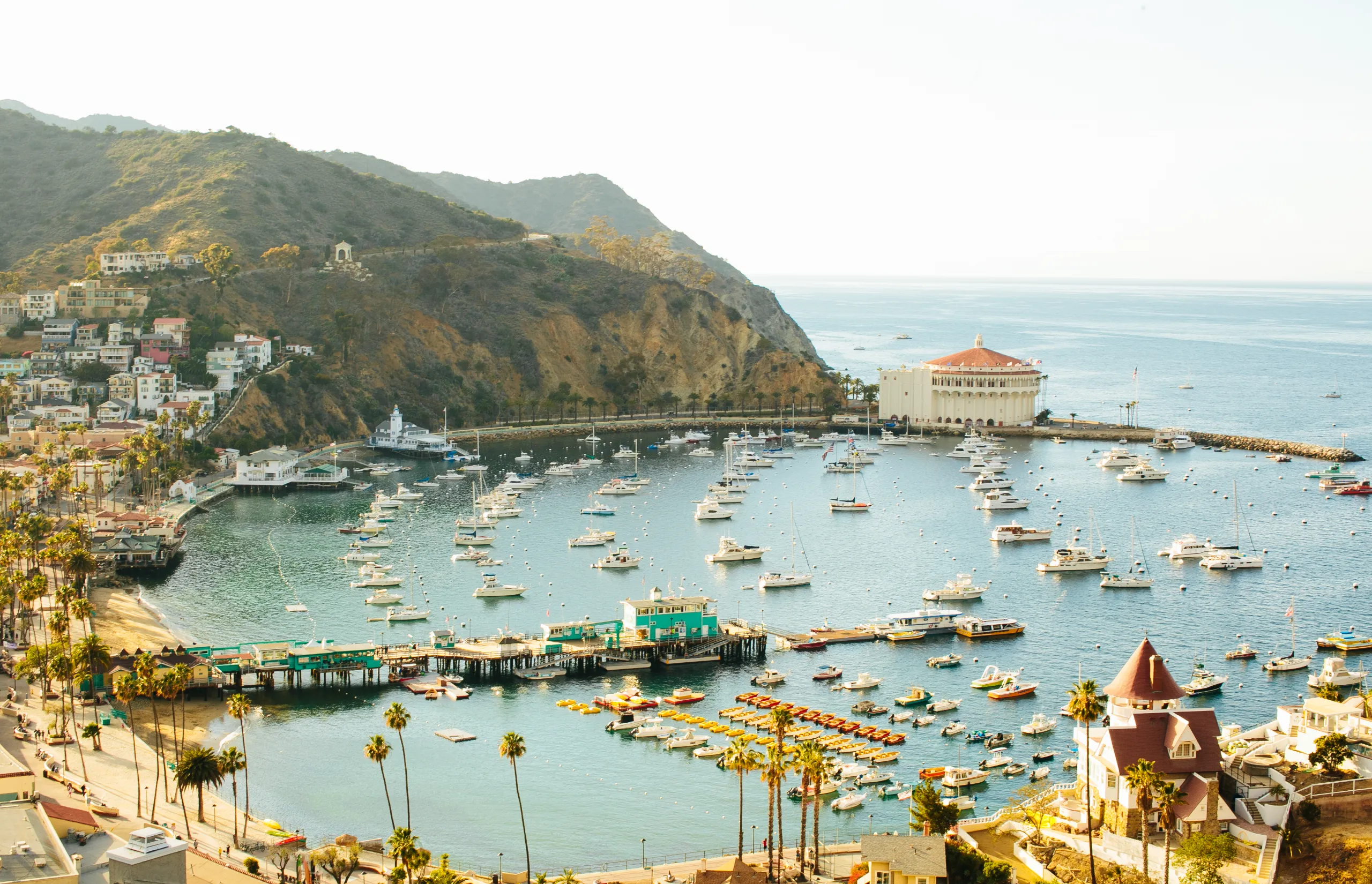 Catalina Island | California