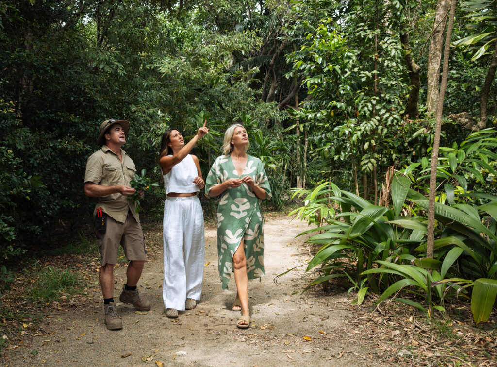 Elements-of-Byron-Rainforest-Tour