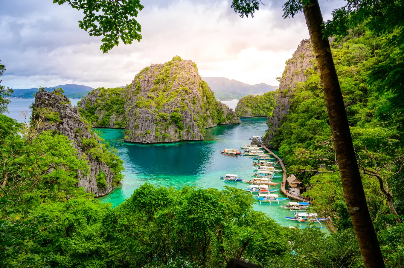 Palawan luxury guide: From private islands to hidden lagoons Palawan luxury guide: From private islands to hidden lagoons