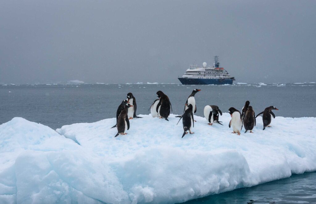 Cruise Masters by TravelManagers 