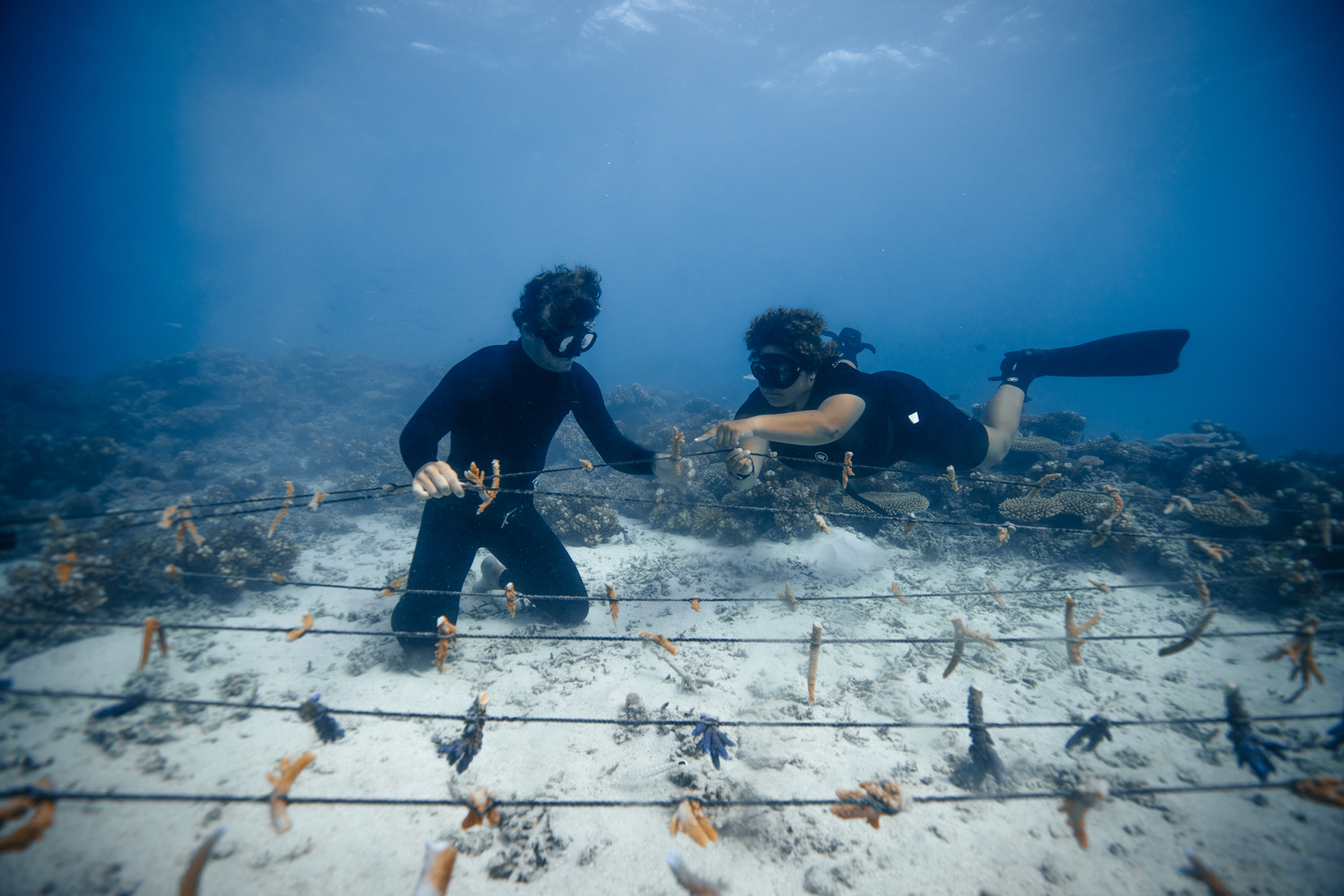 Fiji slow travel | Killian Domingo