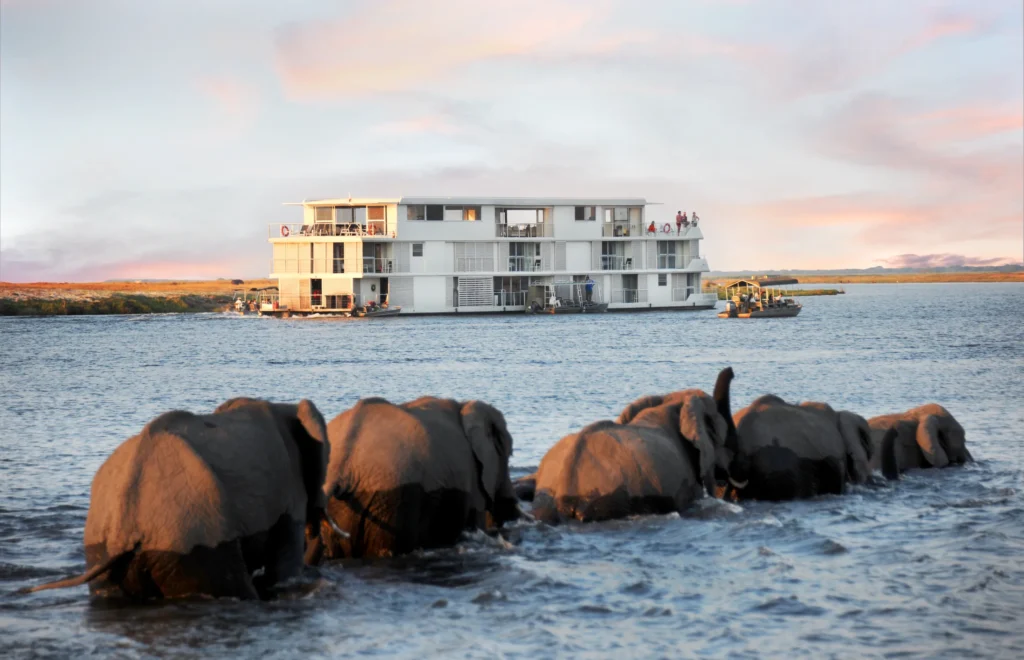 Elephants in Water | AmaWaterways