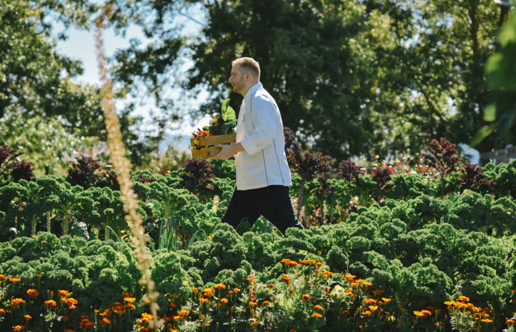 Marlborough | Chef Weiland in harvest garden with produce