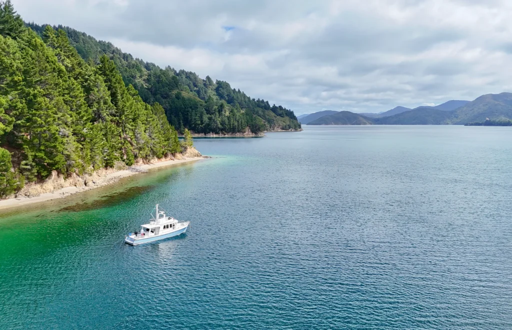 Marlborough | Katabatic Charters