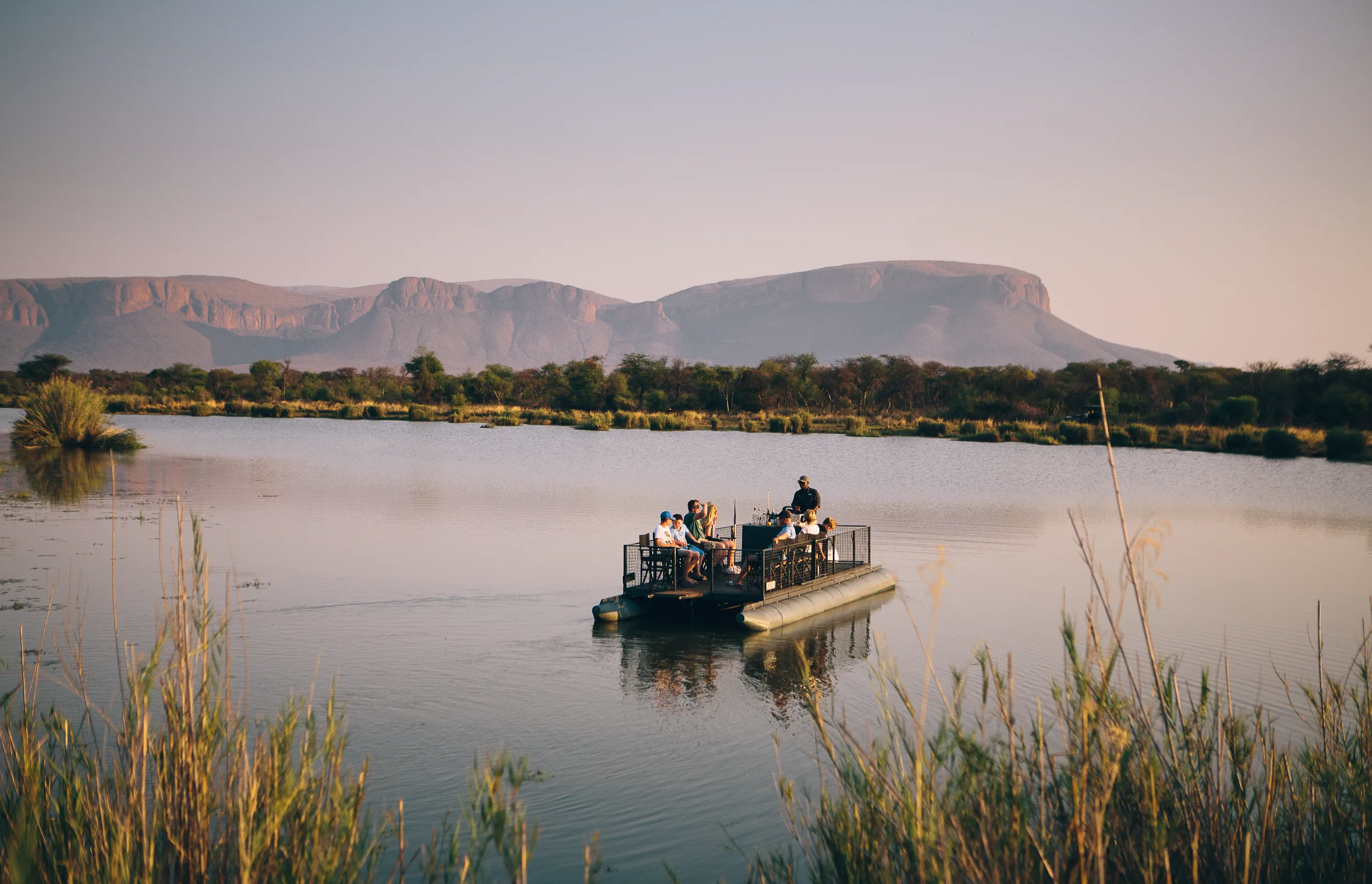 Off-script in South Africa: A safari beyond the Big Five Off-script in South Africa: A safari beyond the Big Five