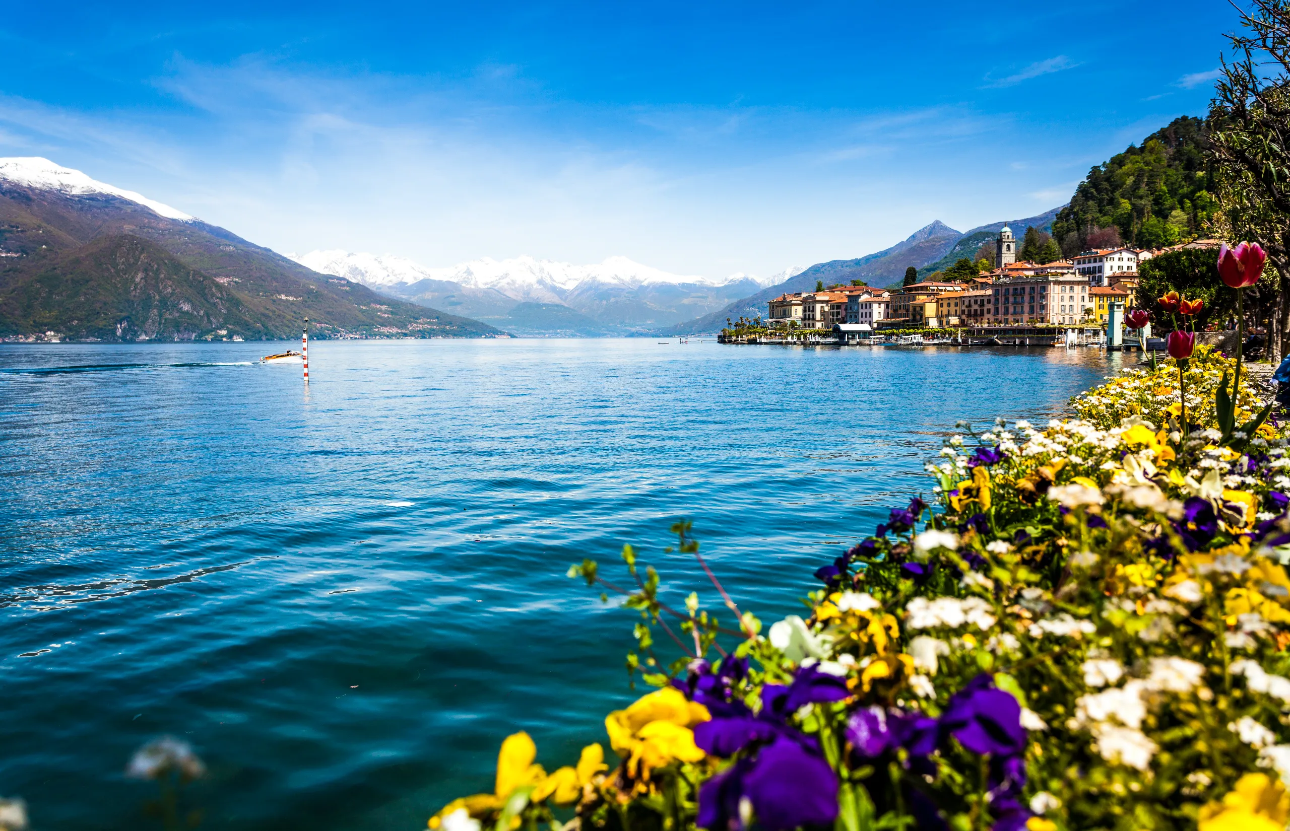 Italian Splendour | Albatross Tours | Town of Bellagio on Como Lake in Spring, Italy