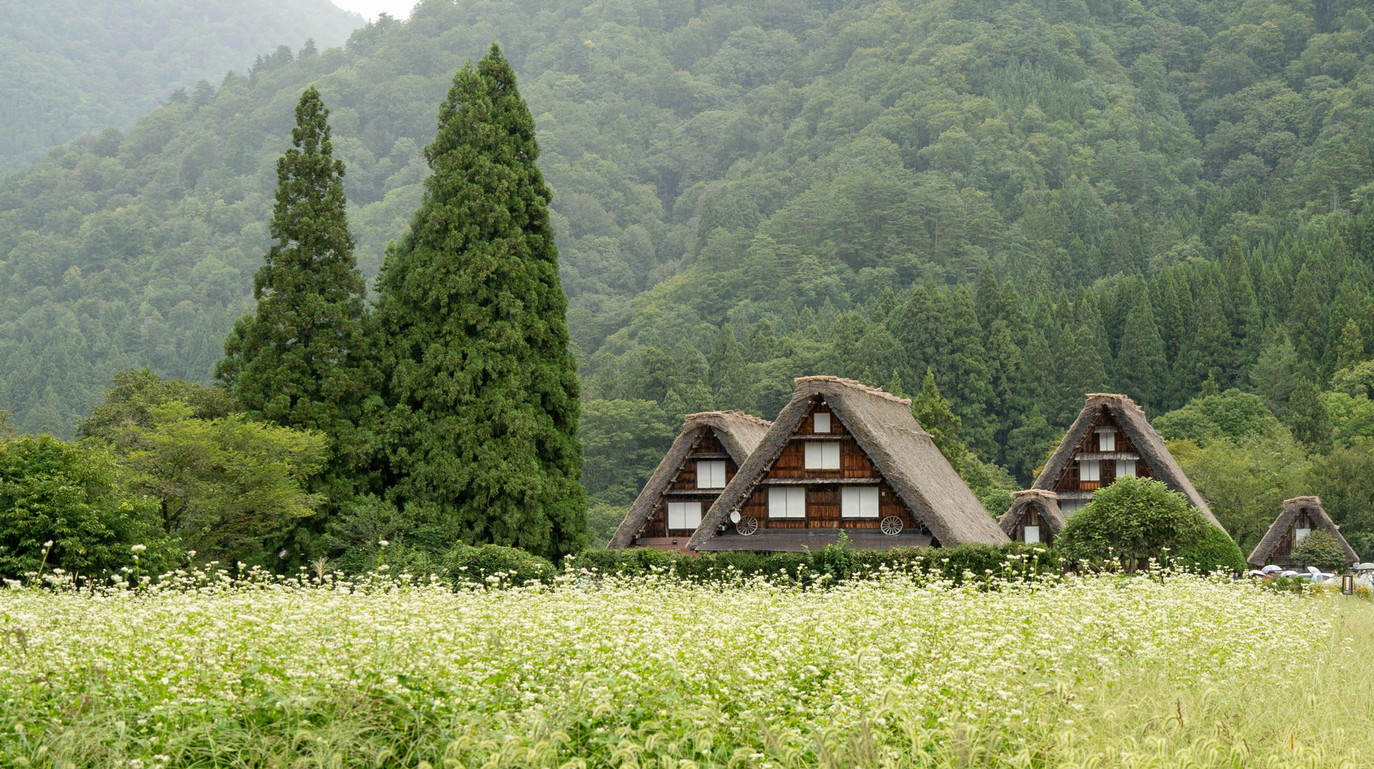 Unlocking Secret Japan