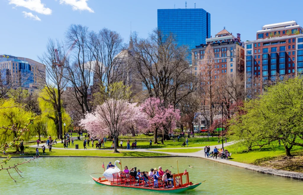Boston, Massachusetts, USA - April 16, 2024: Swan boat full of people traveling on the Boston Public Garden pond. Back Bay neighborhood buildings in the background.
