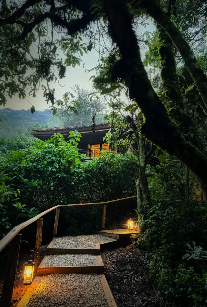 Gorilla Forest Lodge | Uganda