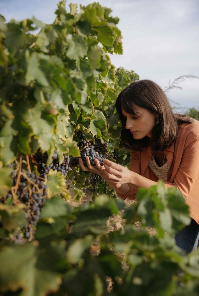 Catalonia | Proximity | Vineyard