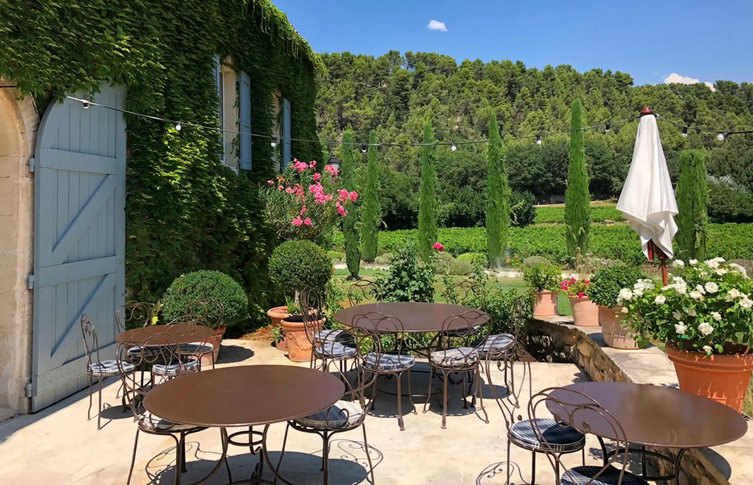 Provence | Truffle season