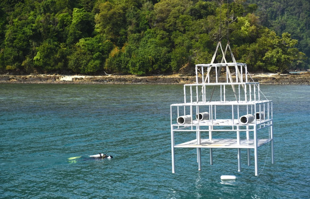The Datai Langkawi | Fish Aggregating Device in Datai Bay