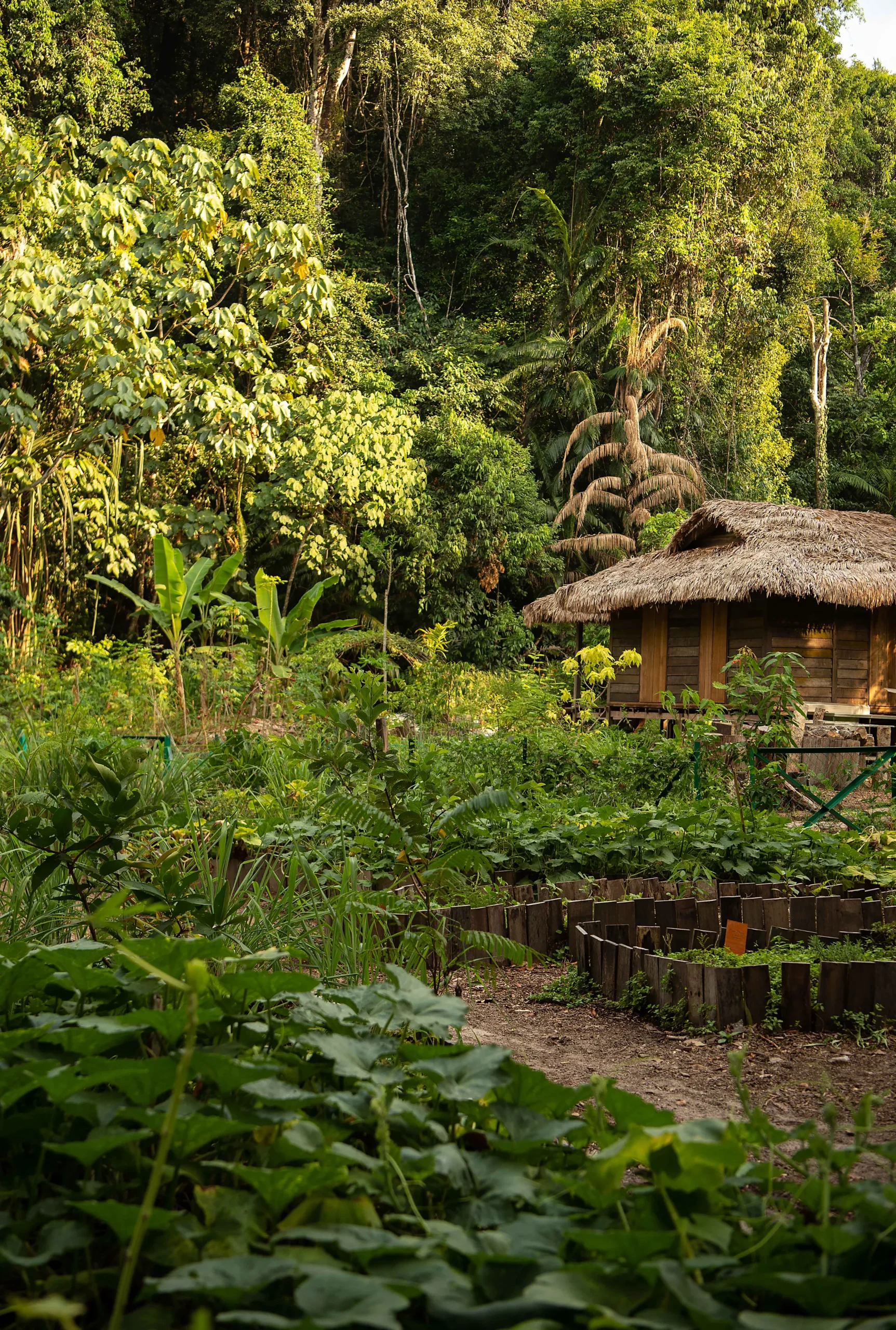The Datai Langkawi | Permaculture Garden