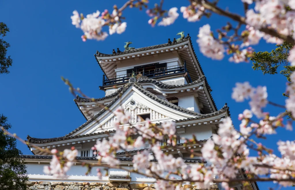 Kōchi, Japan | Kochi Castle