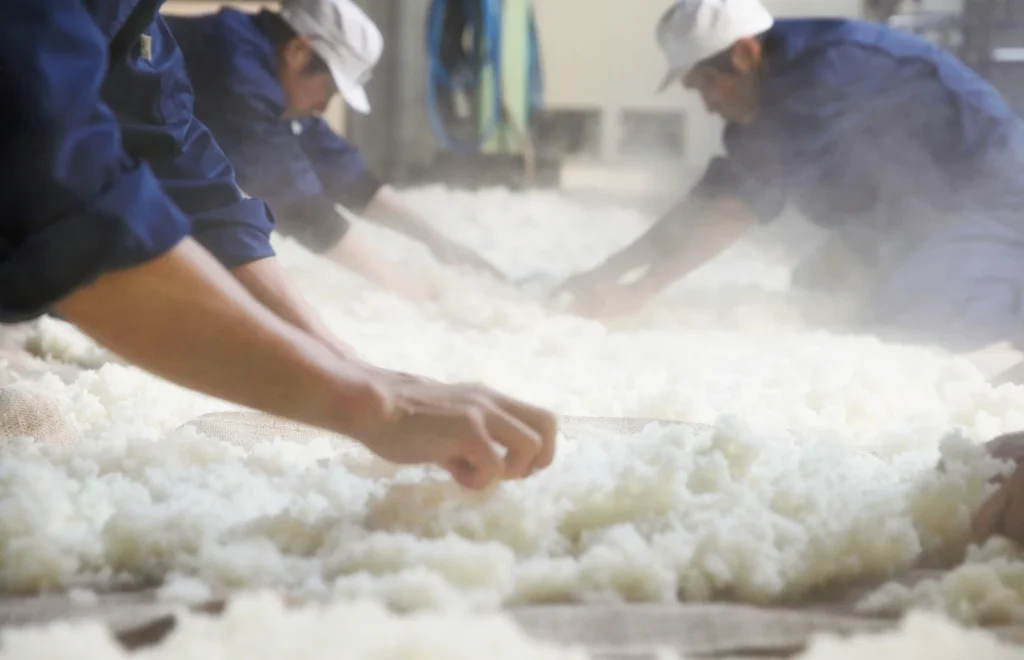 Hidden Feasts in Japan | Sake Brewery Tour