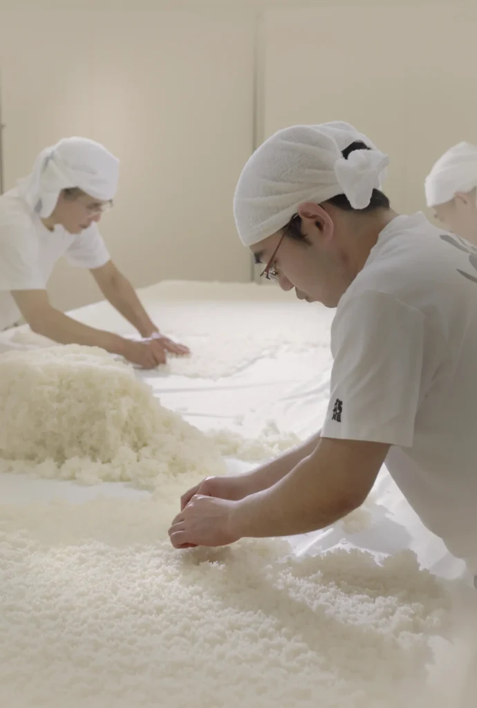 Hidden Feasts in Japan | Sake Brewery Tour KOKURYU