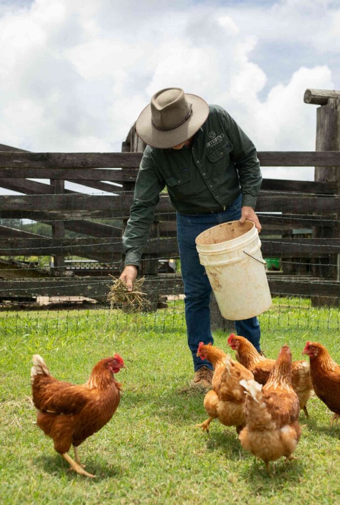 Amaroo Bangalow | Credit: Timothy Birch