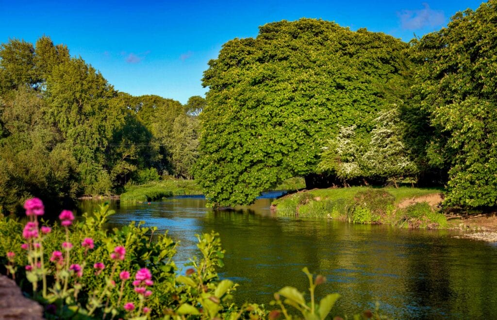 River Nore, Inistioge, Co Kilkenny | Ireland Castle Stays