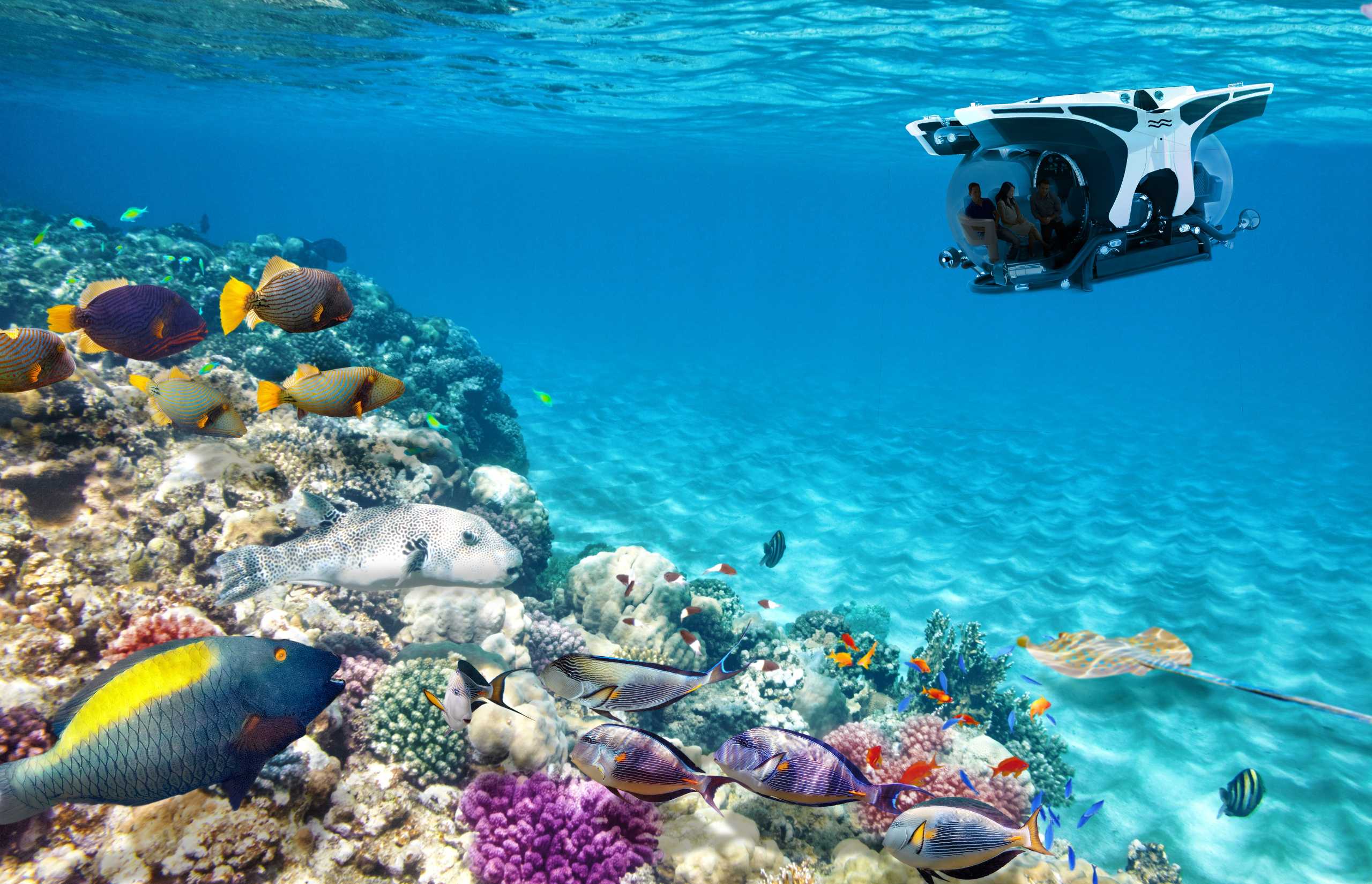 Luxury small-ship cruising