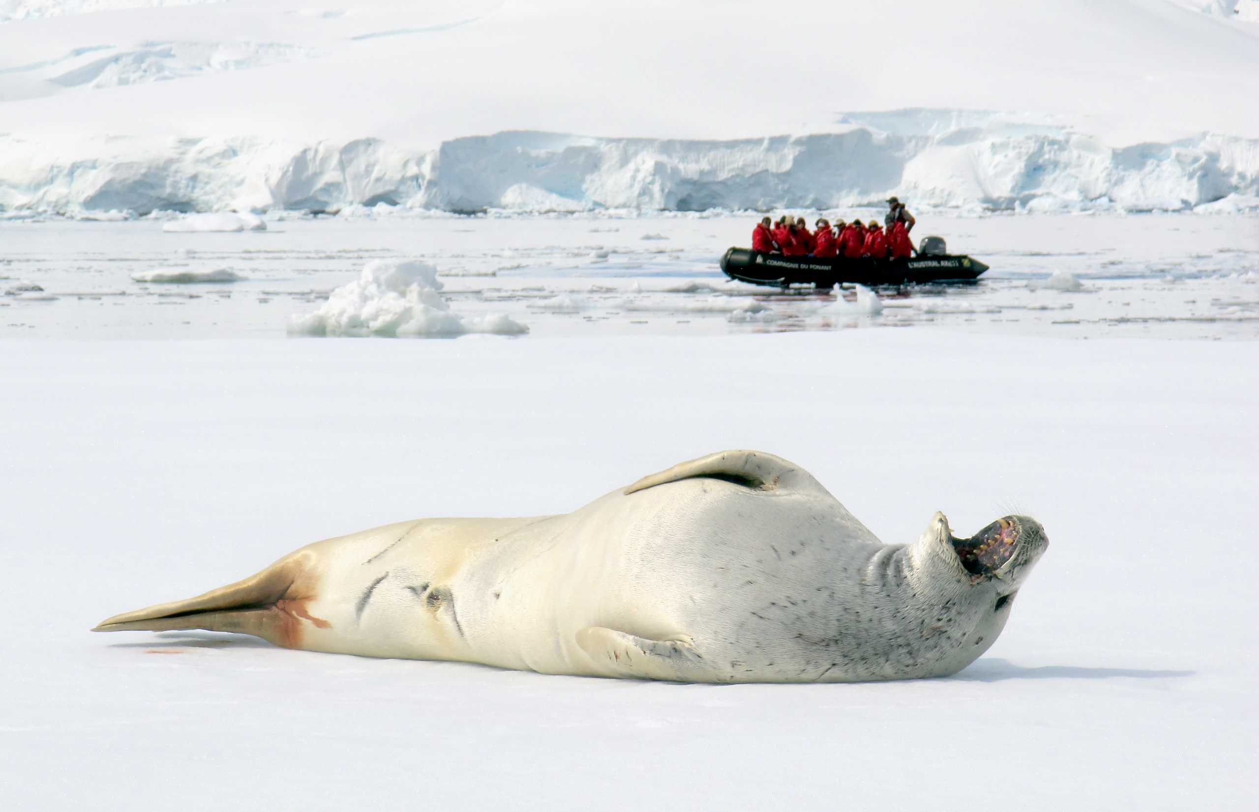 Luxury small-ship cruising