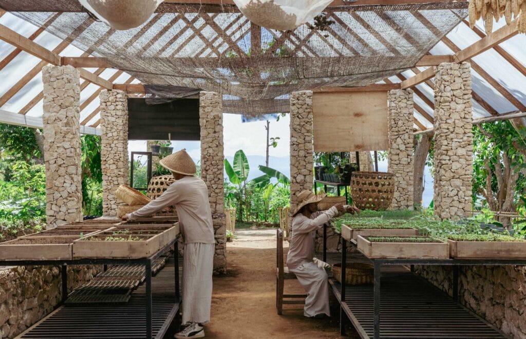 Permaculture Farm | Intaaya Nusa Penida