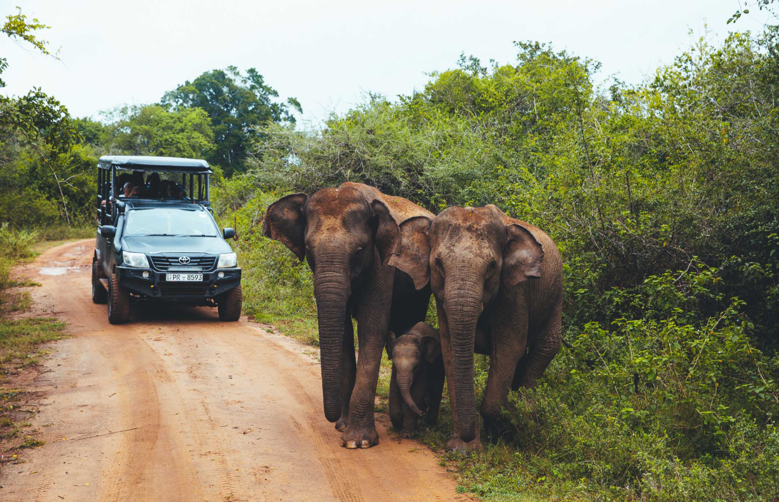 Wild Coast Tented Lodge | Sri Lanka | Credit: Jess Wintz and Pie Aerts
