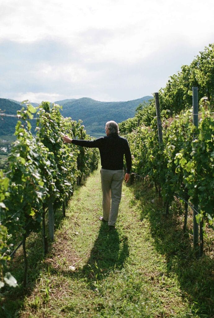 AmaWaterways river cruises