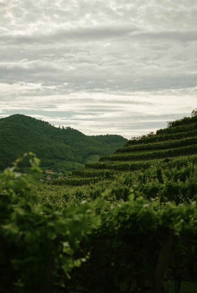 AmaWaterways river cruises