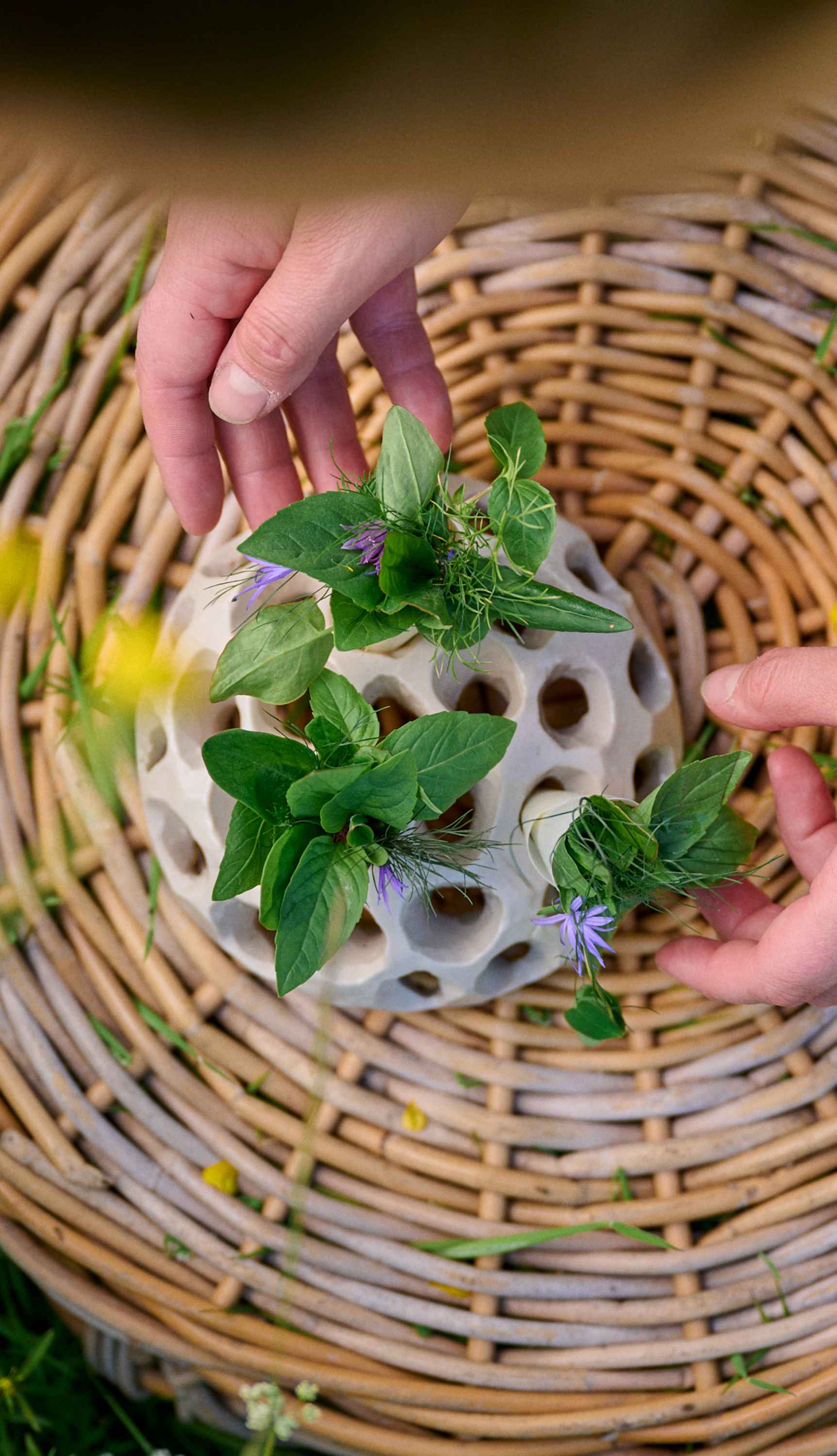 Iris Norway restaurant