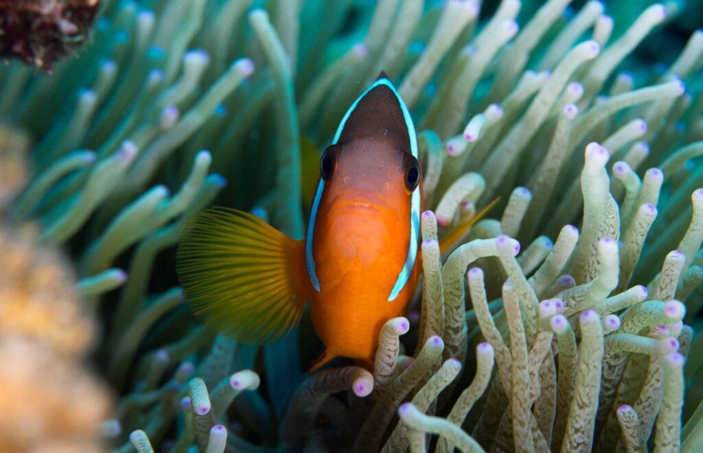 Fiji experiences | Credit: Andrea Rothlisberger