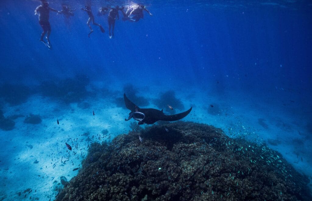 Fiji experiences | Credit: Craig Parry