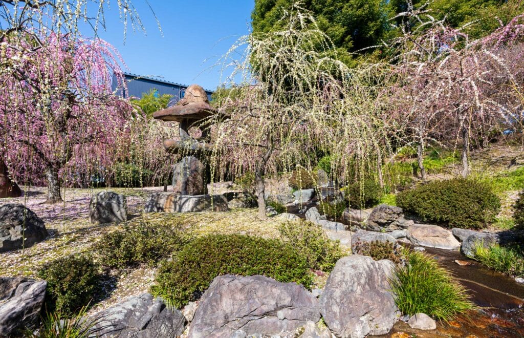 Jonangu Shrine Japanese garden, Kyoto, Japan | Japanese gardens
