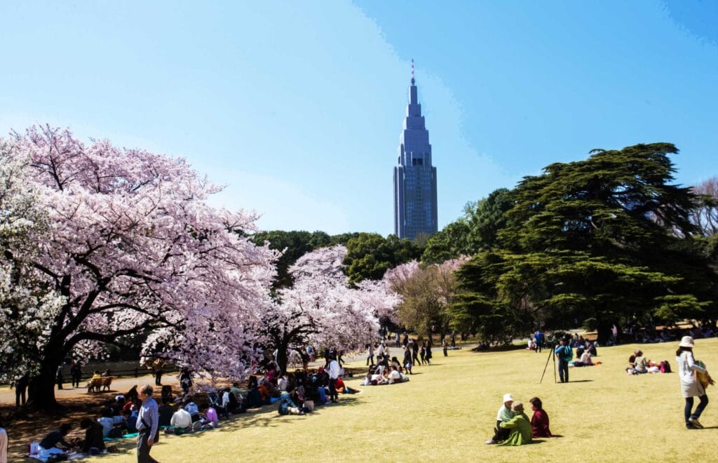 Shinjuku Gyoen | Japanese gardens
