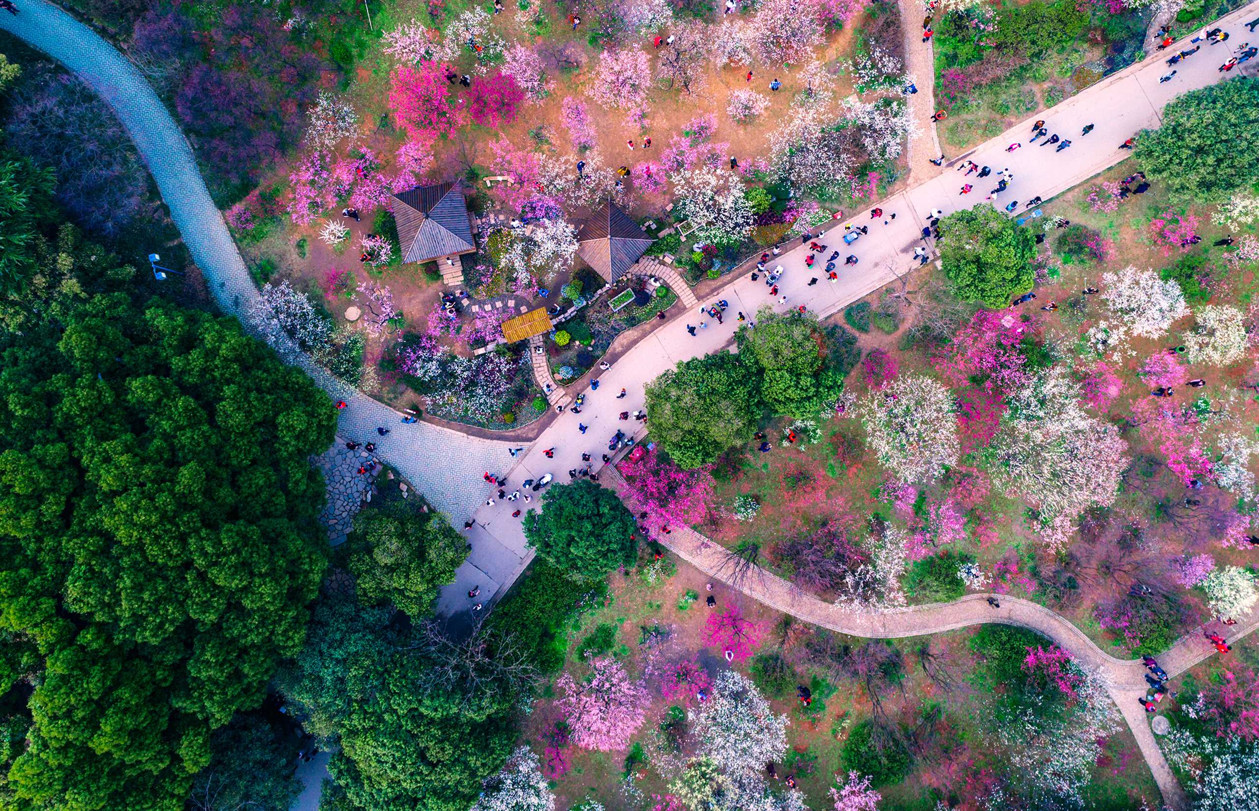 Japan in bloom: 10 breathtaking gardens to visit