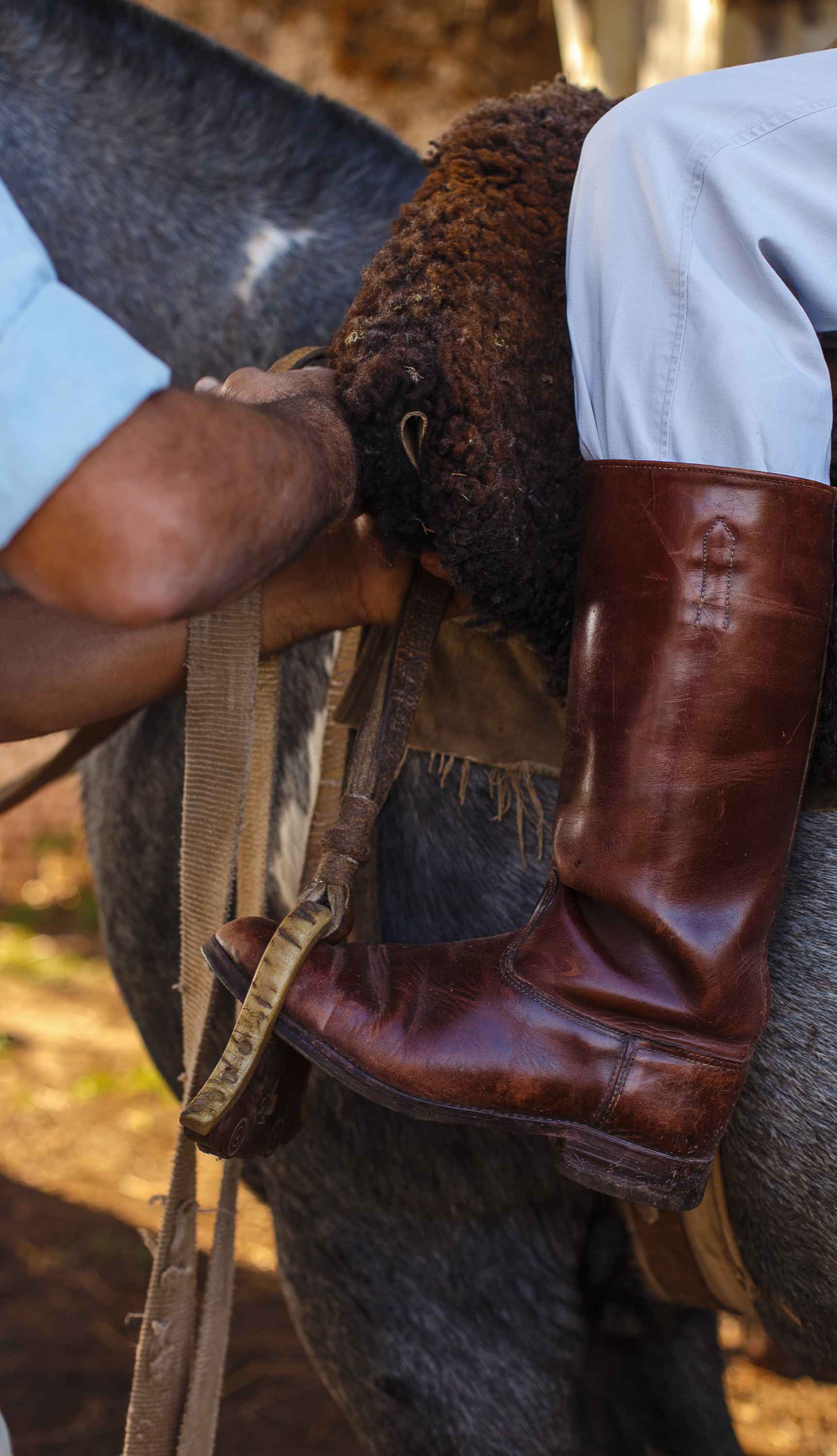 Credit: La Bamba de Areco