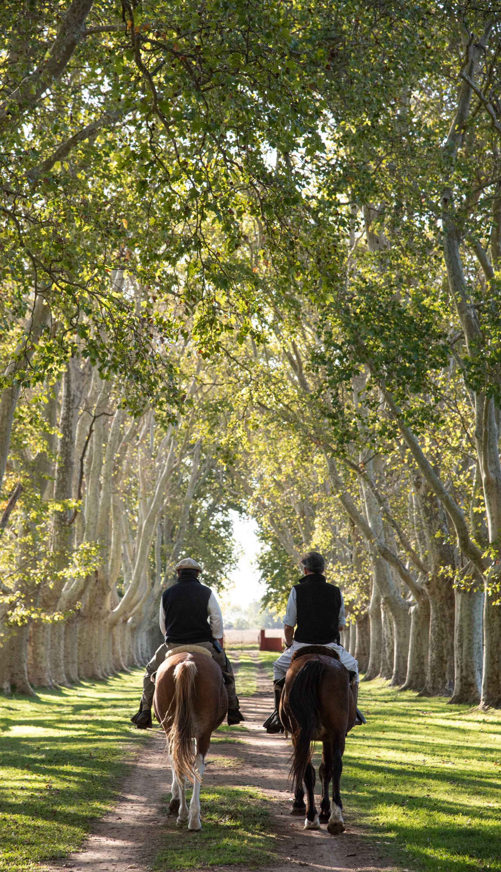 Credit: La Bamba de Areco