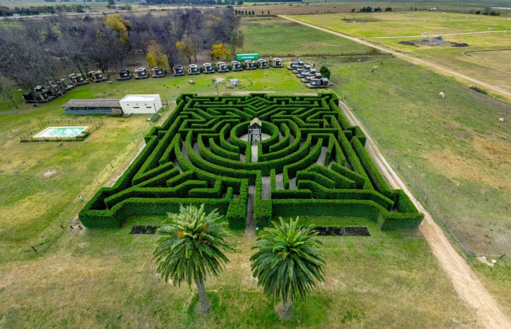 Puesto Viejo, credit to Puesto Viejo