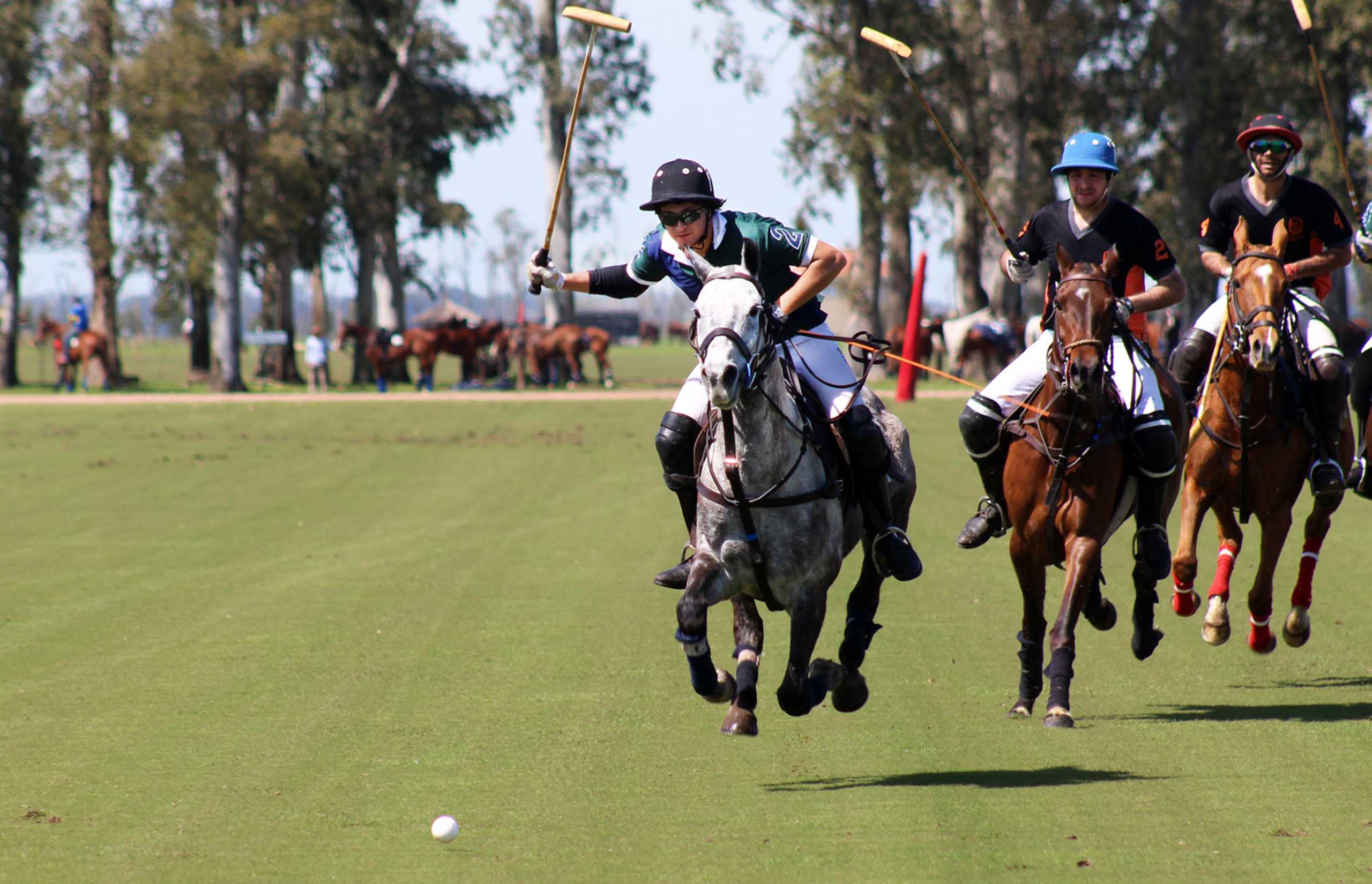 Puesto Viejo, credit to Puesto Viejo